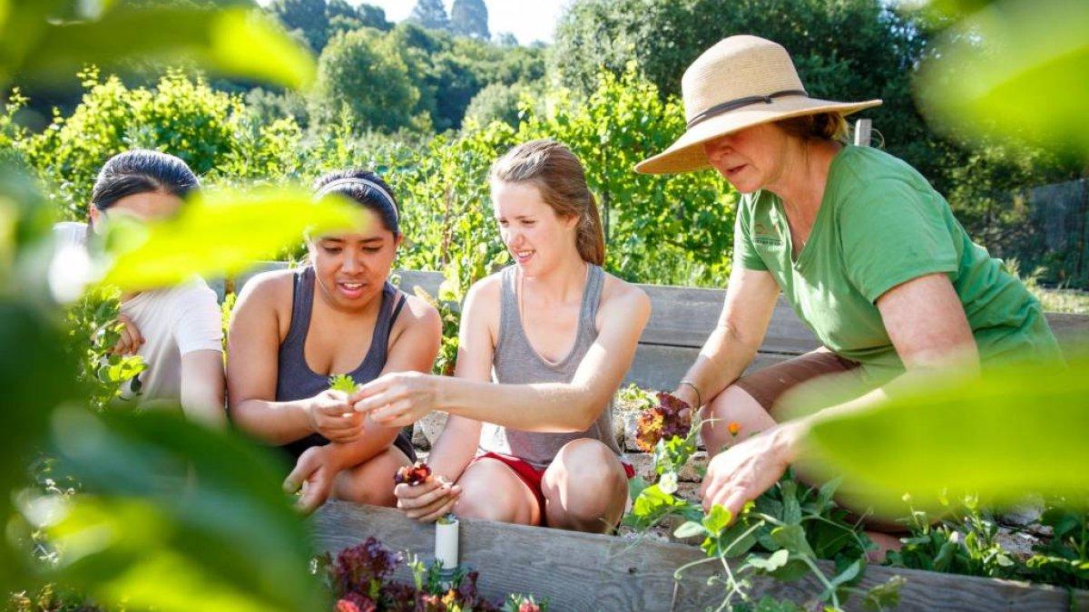 Three students and an instructor in a garden looking at leaves one student is holding.